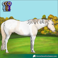 Horse Color:Smoky Black Pearl Tobiano Varnish 