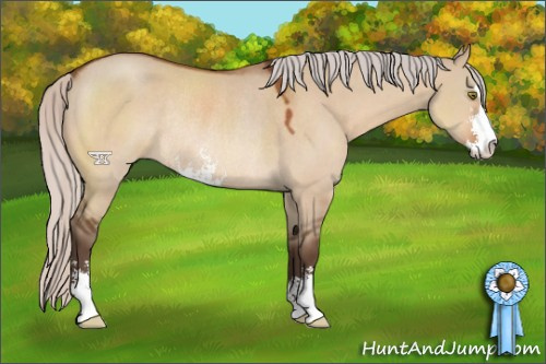 Horse Color:Silver Brown Dun Sabino Rabicano 