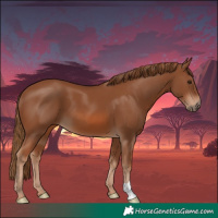 Horse Color:Chestnut 