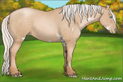 Horse Color:White Spotted Silver Buckskin Pearl 