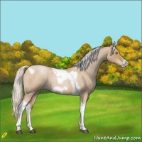 Horse Color:Silver Blue Roan Pearl Tobiano Frame 