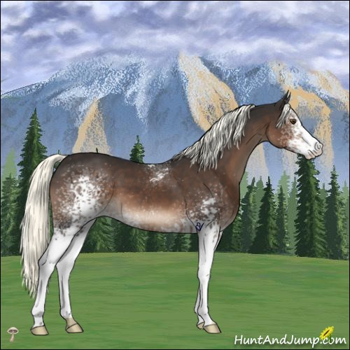 Horse Color:White Spotted Liver Chestnut Mushroom 