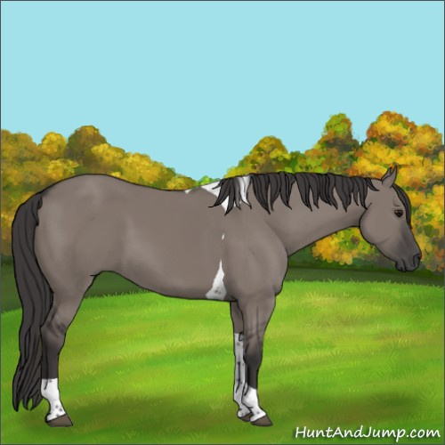Horse Color:Smoky Grullo Tobiano