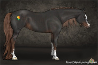 Horse Color:Liver Chestnut Sabino 