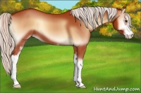 Horse Color:Silver Bay Onyx Sabino Varnish 