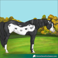 Horse Color:Black Frame 