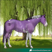 Horse Color:Amber Champagne Sabino Tobiano Rabicano 