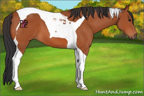 Horse Color:Bay Tobiano 