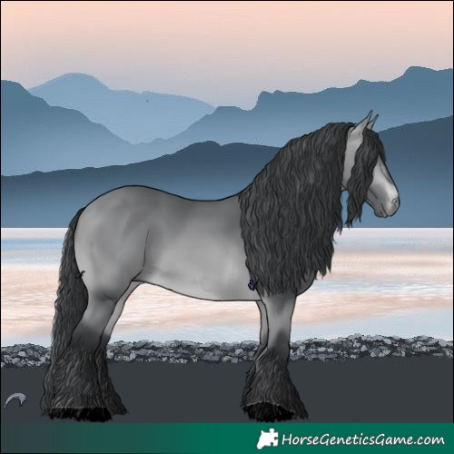 Horse Color:Bay Chinchilla 