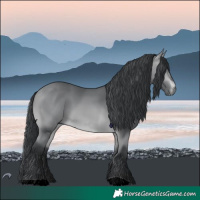 Horse Color:Bay Chinchilla 