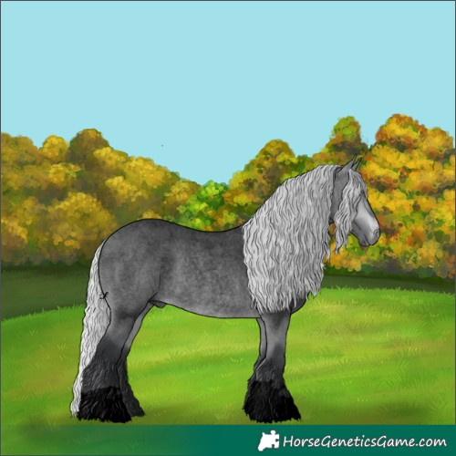 Horse Color:Void Silver Bay Chinchilla Roan 