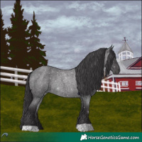 Horse Color:Smoky Blue Chinchilla Roan 