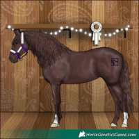 Horse Color:Chocolate Black
