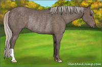 Horse Color:Silver Black Rabicano 