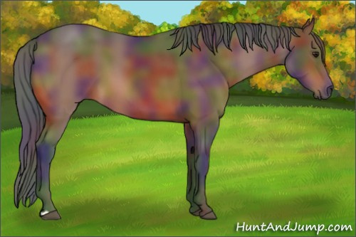 Horse Color:Nacre Brown 