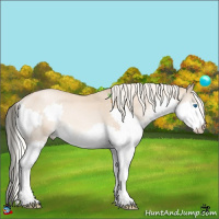 Horse Color:Chocolate Palomino Pearl Splash 