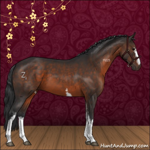 Horse Color:White Spotted Brown