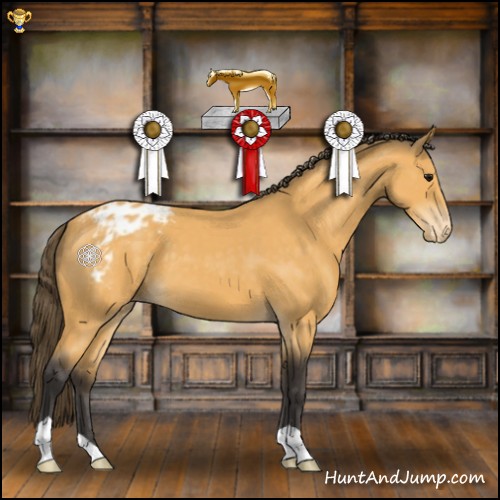 Horse Color:Buckskin Blanket 