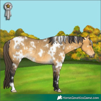 Horse Color:White Spotted Buckskin Dun Rabicano