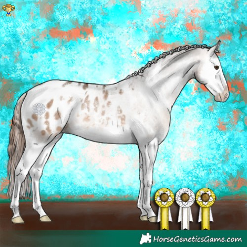 Horse Color:White Spotted Brown Dun Splash Appaloosa Rabicano 