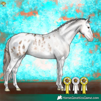 Horse Color:White Spotted Brown Dun Splash Appaloosa Rabicano 