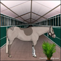 Horse Color:Silver Black 