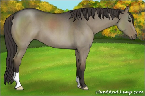 Horse Color:Smoky Grullo Roan 