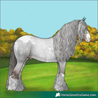Horse Color:Liver Chestnut Snowcap 
