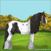 Horse Color:Liver Chestnut Tobiano Snowflake Varnish 