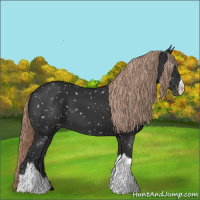 Horse Color:Liver Chestnut Snowflake Varnish