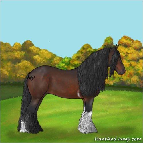 Horse Color:Bay Tobiano 