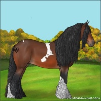 Horse Color:Bay Tobiano 