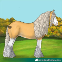 Horse Color:Palomino Sabino Splash 