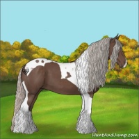 Horse Color:Silver Black Tobiano 