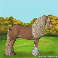 Horse Color:Chestnut Tobiano