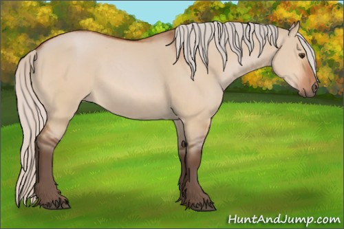 Horse Color:Silver Bay Dun 