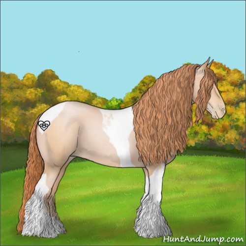 Horse Color:Buckskin Pearl Tobiano 