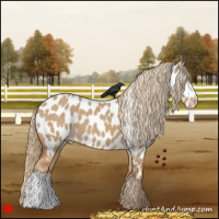 Horse Color:Red Dun Near Leopard 