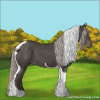 Horse Color:Silver Black Tobiano 