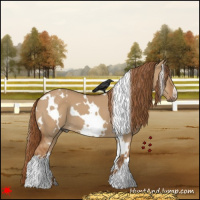 Horse Color:White Spotted Red Dun 