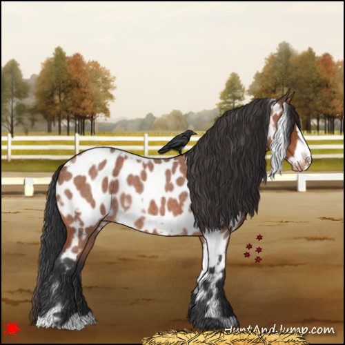 Horse Color:White Spotted Bay Roan Frame Appaloosa Rabicano 
