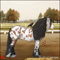 Horse Color:White Spotted Bay Roan Frame Appaloosa Rabicano 