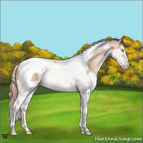 Horse Color:Smoky Blue Roan Pearl Splash Tobiano 