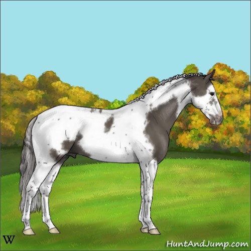 Horse Color:Smoky Black Splash Tobiano Frame 