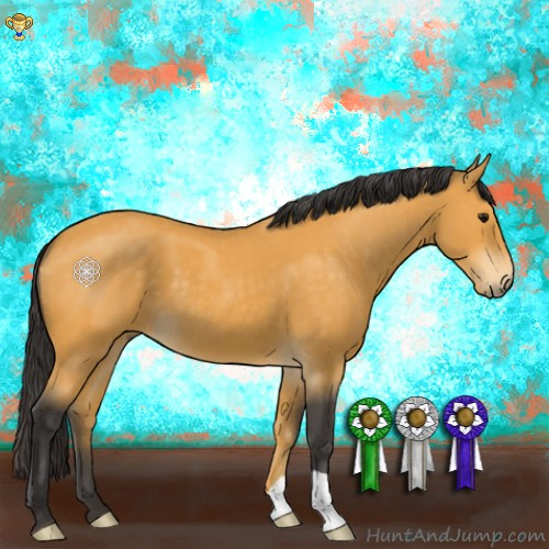 Horse Color:Buckskin 