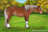 Horse Color:Silver Bay