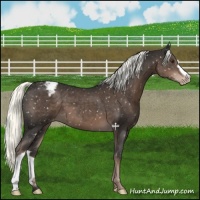 Horse Color:Liver Chestnut Mushroom Snowflake Varnish
