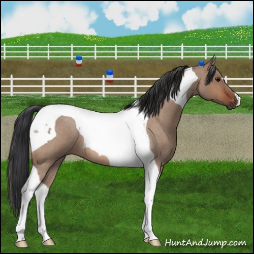 Horse Color:Bay Roan Dun Tobiano