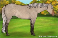 Horse Color:Silver Brown Roan Dun Varnish 