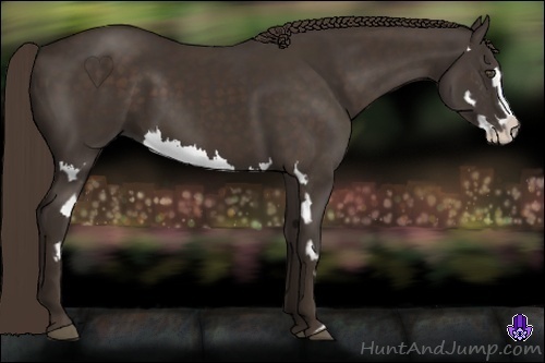 Horse Color:Liver Chestnut Splash Frame 